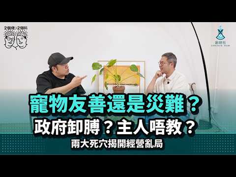 【寵物友善空間亂局】寵物友善餐廳究竟係趨勢還是災難?探討政府監管空白與主人界線|如何建立互相尊重嘅寵物共融空間